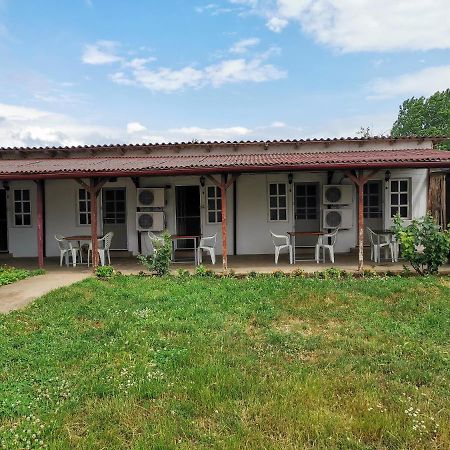 Casa Ioana Hotel Costinesti Ngoại thất bức ảnh