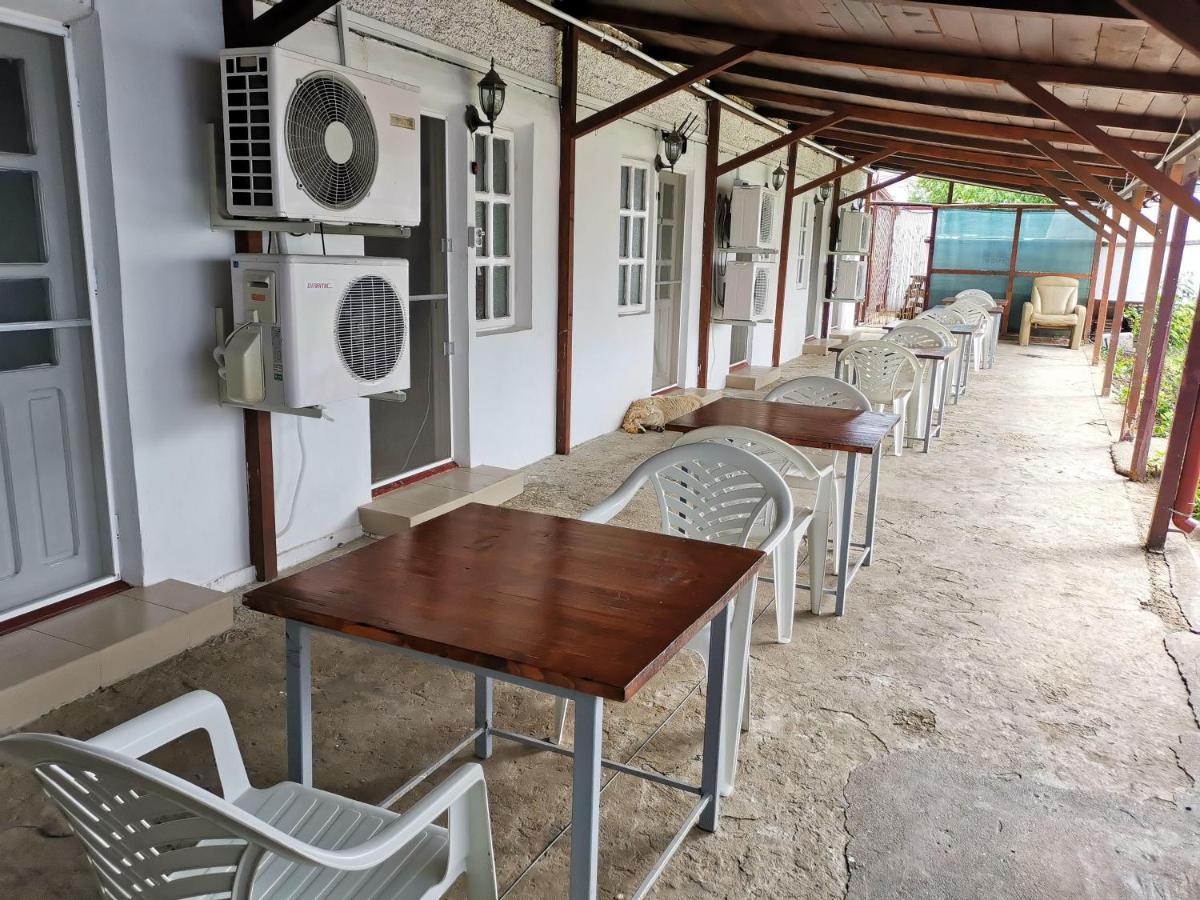 Casa Ioana Hotel Costinesti Ngoại thất bức ảnh